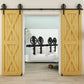 Barn Door Hardware - Double Door - Big Wheels J Shaped Hangers 13 ft Track
